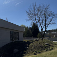 Gėlių priežiūra, stogo apravėjimas