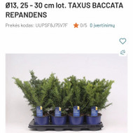 Pirkciau kukmedzius su atvezimu