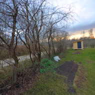 Krūmų / medžių pjovimas ir išvežimas