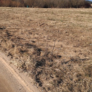 Žemė išlyginti  suarti, sodinimui.