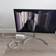 Monitoriaus remontas