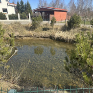 Aplinkos sutvarkymas