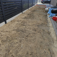 Vejos įrengimas, tujų sodinimas