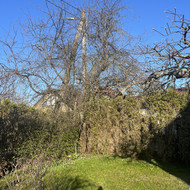 Ieškau paslaugų...