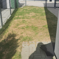 Augalinio sluoksnio nuėmimas