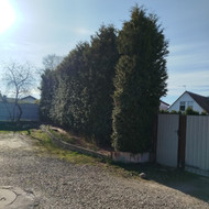 Ieškau kas galėtų sutvarkyti kiemo aplinką Vilniuj