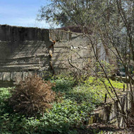 Atraminė sienelės tvarkymas