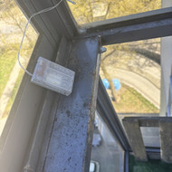 Pelėsio naikinimas balkone