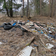 Reikalinga panaikinti šiukšlyną Skirgiškėse