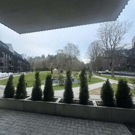 Augalų ir medelių sodinimas