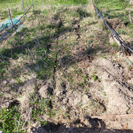 Šiltnamių surinkimas