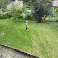 Apleistų sklypų tvarkymas