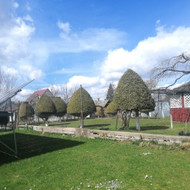 Sienutės iš elektros stulpų, betono, plytų ardymas, išvežimas