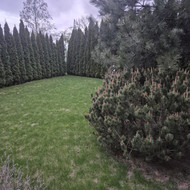 Vejos aeravimas,skarifikavimas