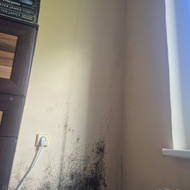 Vidinės sienos sutvarkymas