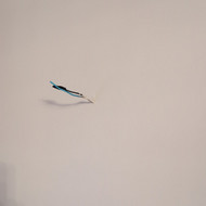 Smulkūs elektriko darbai