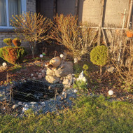 Aplinkos tvarkymas, apželdinimas