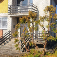 Rūsyje kaupiasi vanduo. Reikia hermetizuoti iš vidaus ir įdėti  siurblį