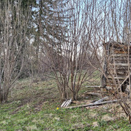 Apleisto sklypo tvarkytojų
