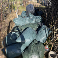 Šakų ir žolės išvežimas