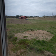 Sklypo lyginimas, augalinio paskleidimas, paruosimas vejai