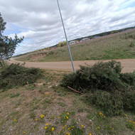 Šakų išvežimas