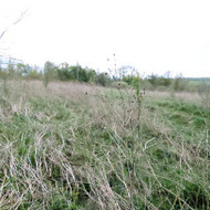 Apleistų sklypų tvarkymas
