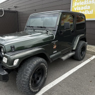 Automobilio sparnų dažymas