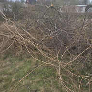 Šakų smulkinimas
