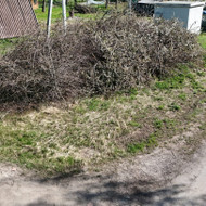 Šakų išvežimas