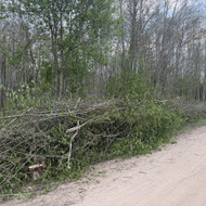 Medžių ir šakų smulkinimas
