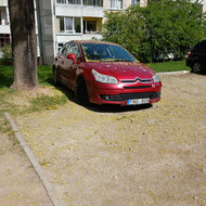 Kokį auto norite parduoti?