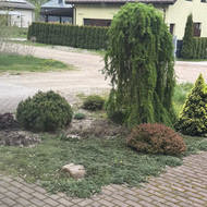 Aplinkos tvarkymas, apželdinimas