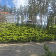 Gyvatvorių karpymas