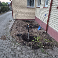 Paruošti ir pakloti trinkeles