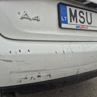 Automobilių dažymas