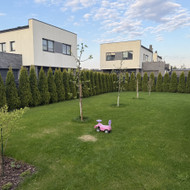 Tujų genėjimas vilnius