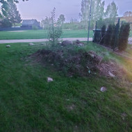 Bobcat nuoma