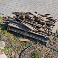 Palėtės, mediena išvežti