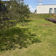 Reikalinga vejos renovacija / atnaujinimas