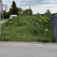 Krūmų/žolės pjovimas