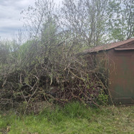 Šakų išvežimas