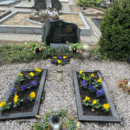 Kapavietės atnaujinimo darbai