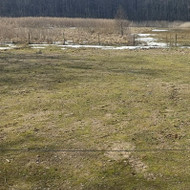 Sraigtiniai pamatai