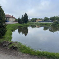 Žolės pjovimas