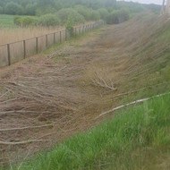 Nupjautų krūmų surinkimas/smulkinimas