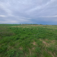 Žemės sklypo paviršiaus išdirbimas