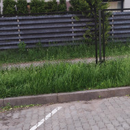 Žolės pjovimas Vilniuje