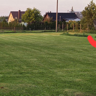 Medžių genėjimas, pjovimas