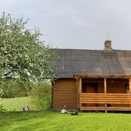 Reikalingas meistras senam namui renovuoti. Moletu raj. Gačkiškių k.